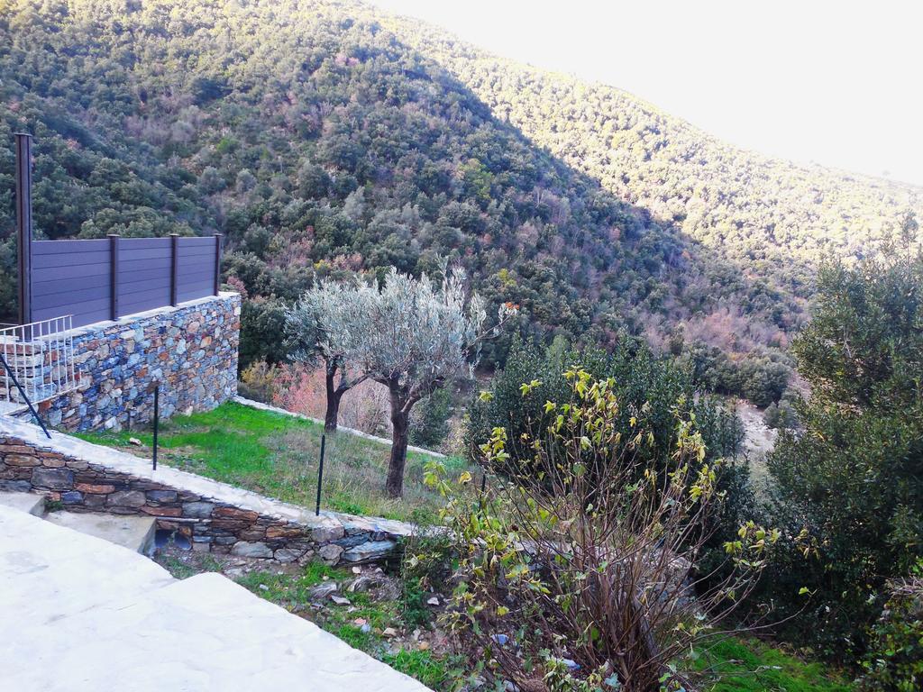 Saint Christophe Omessa Luaran gambar